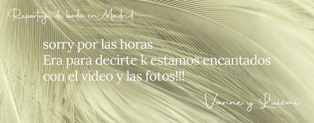 Opiniones sobre Bodas con Fotos. Texto de la pareja Vanne y Luismi sobre la opinión de su reportaje fotográfico de boda.